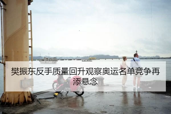 樊振东反手质量回升观察奥运名单竞争再添悬念
