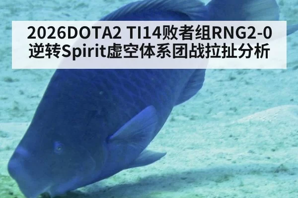 2026DOTA2 TI14败者组RNG2-0逆转Spirit虚空体系团战拉扯分析