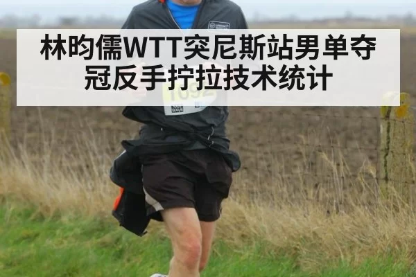 林昀儒WTT突尼斯站男单夺冠反手拧拉技术统计